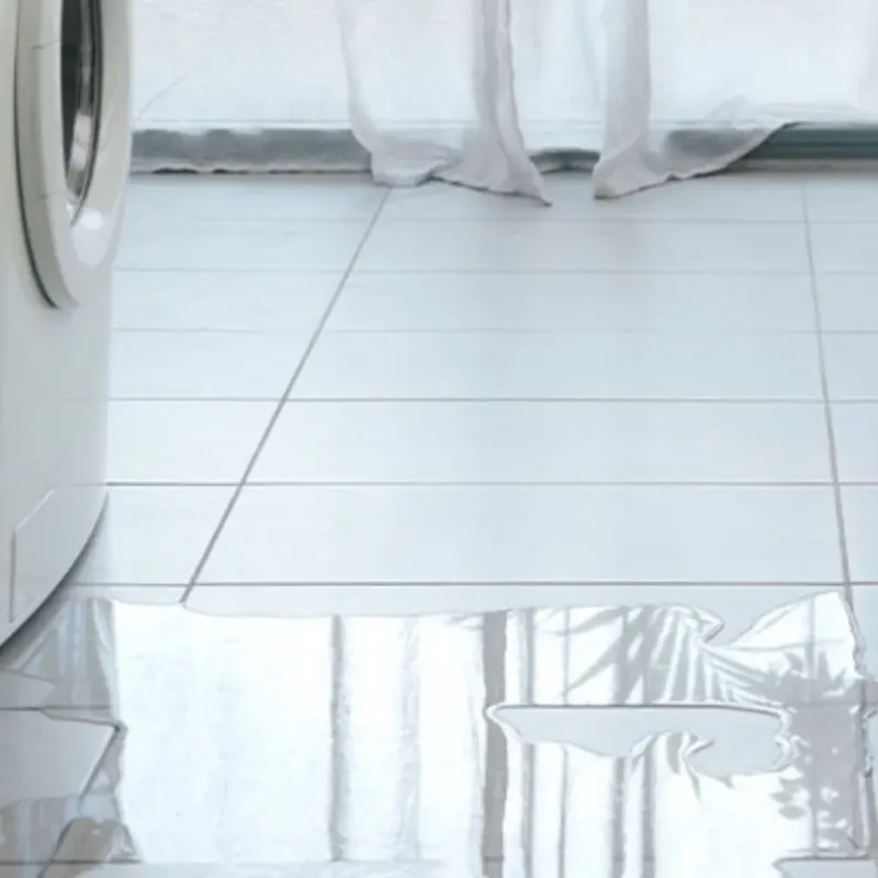 Appliance Leak Cleanup in North Manchester, IN