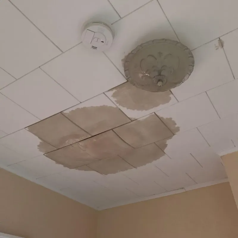 Ceiling Water Damage Repair in North Manchester, IN