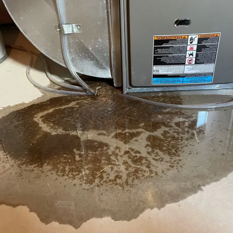 Pipe Burst and Leak Restoration in North Manchester, IN